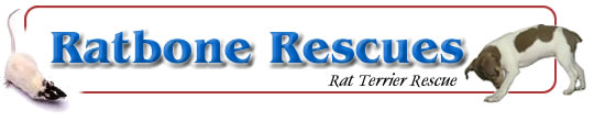 Ratbone Rescues - Rat Terrier Rescue