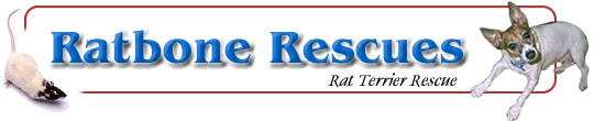 Ratbone Rescues - Rat Terrier Rescue