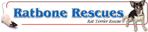 Ratbone Rescues - Rat Terrier Rescue