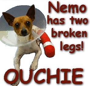 Featured Ouchie